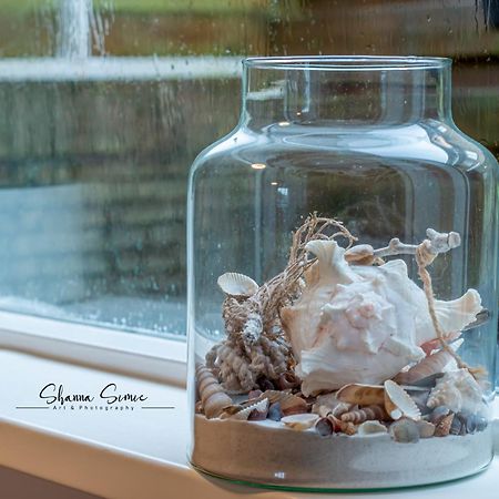 Carpe Diem Egmond Aan Zee By Urban Home Stay Egmond aan Zee Exterior foto